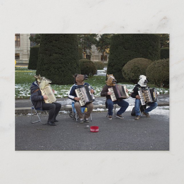 Tierkonzert Postkarte (Vorderseite)