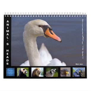 Tierköpfe 12 Monate Kalender