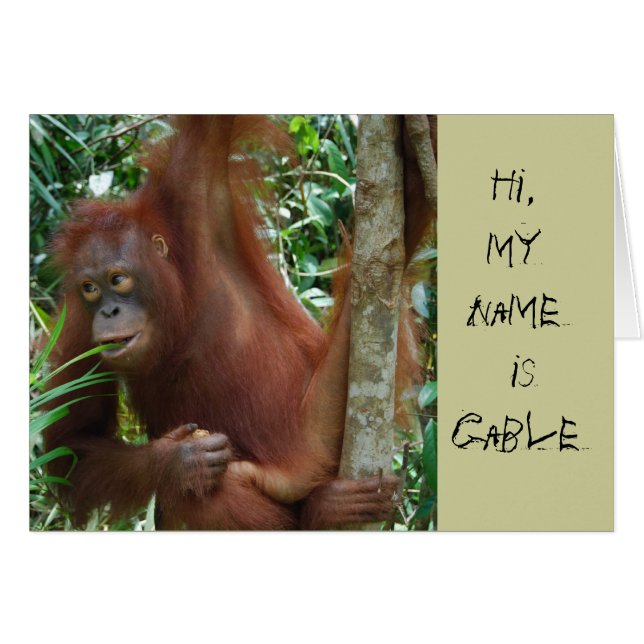 Tierkünstler (Vorderseite (Horizontal))