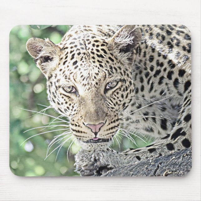 Tierleopard 2 mousepad (Vorne)