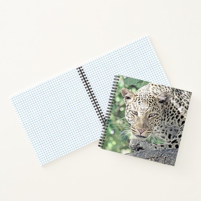 Tierleopard 2 notizbuch (Innenseite)