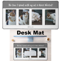 Tierliebhaber Katzen 4 Foto Name weiß grau