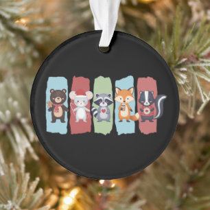 Tierliebhaber Weihnachten Waschbär Opossum Winter Ornament