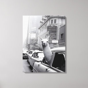 Tiermalerei Lama Leinwand Wandkunst