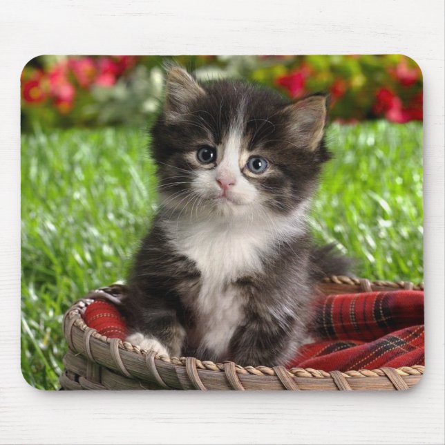 Tiermausunterlage 14 mousepad (Vorne)