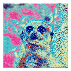 TierMix_Meerkat_008 Poster