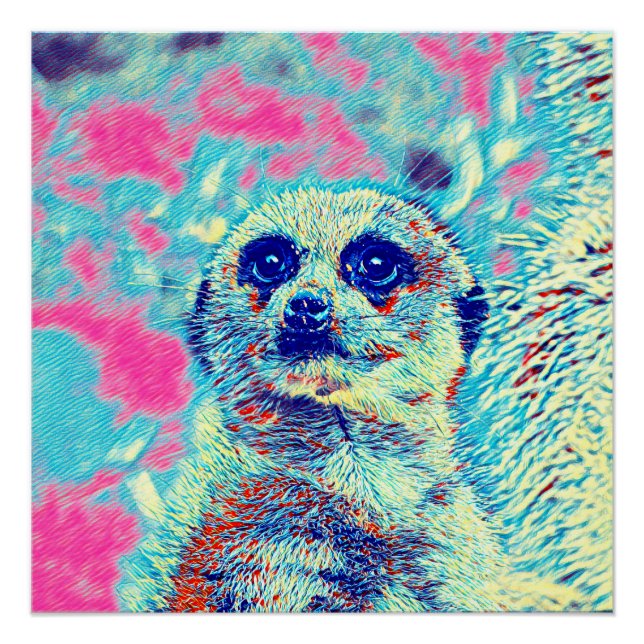 TierMix_Meerkat_008 Poster (Vorderseite)