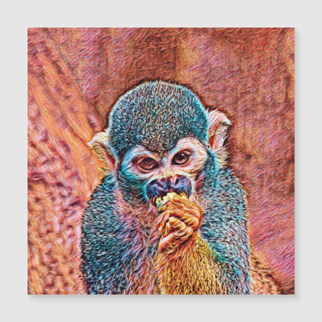 TierMix_Monkey_001 Magnetkarte (Vorderseite)
