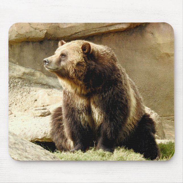 TierMousepad Reihe - Grizzlybär Mousepad (Vorne)
