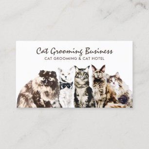 Tierpflegesalon Spa Katzen Visitenkarte
