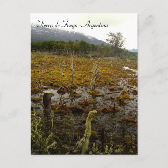 Tierra del Fuego - Argentinien Postkarte (Vorderseite)