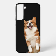 Tierreich - Tolles süßes Corgi