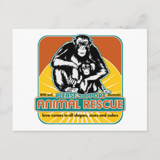 Tierrettungsschimpanse Postkarte