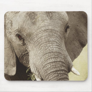 Tiersafari mousepads des afrikanischen Elefanten