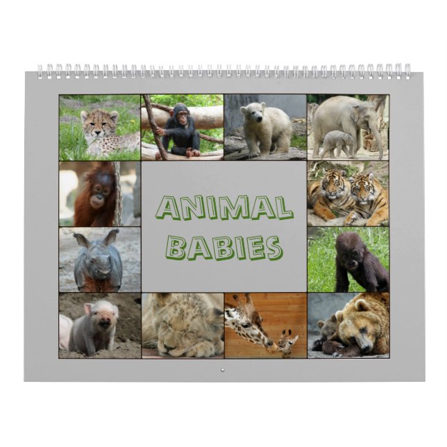 TierSäuglinge 001 Kalender (Titelbild)
