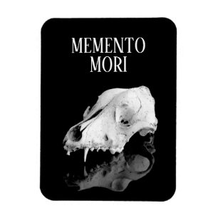 Tierschädel Magnet