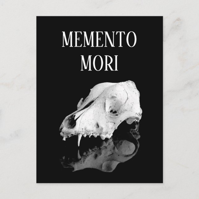 Tierschädel Postkarte (Vorderseite)