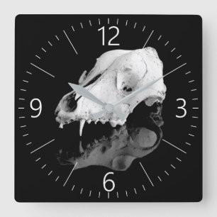 Tierschädel Quadratische Wanduhr