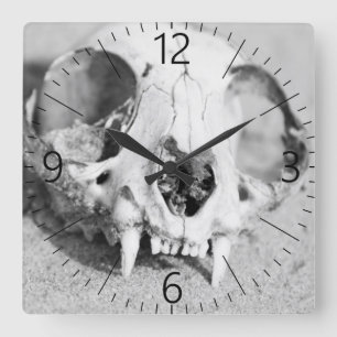 Tierschädel Quadratische Wanduhr