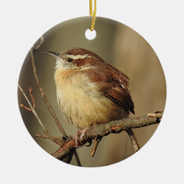 Tierschmuck Keramik Ornament (Vorne)