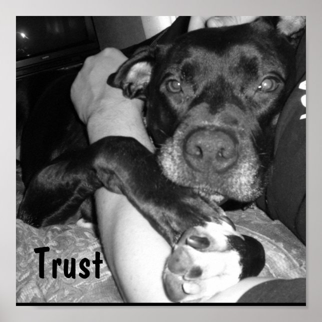 Tierschutz Poster (Vorne)