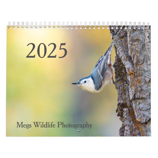 Tierschutzkalender 2025 kalender (Titelbild)