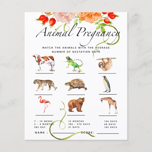 Tierschwangerschaft Pumpkin Baby Duschspiel (Vorderseite)