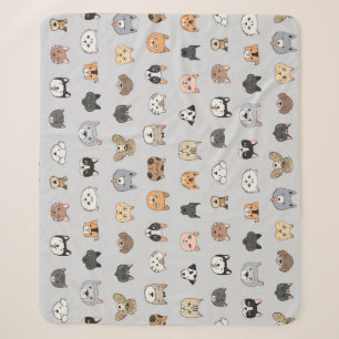 Tierspass: Hunde bei Katzen Doodle Mix Sherpadecke