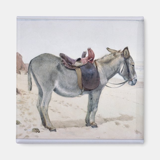 Tierstudien Magnet (Vorne)