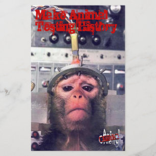 Tierversuche am Ende Flyer