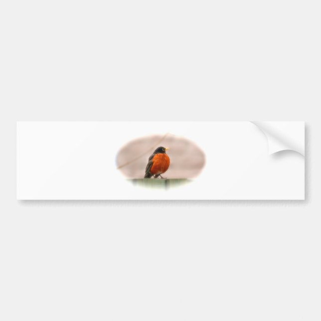 Tiervogel-Amerikaner Robin Autoaufkleber (Vorne)