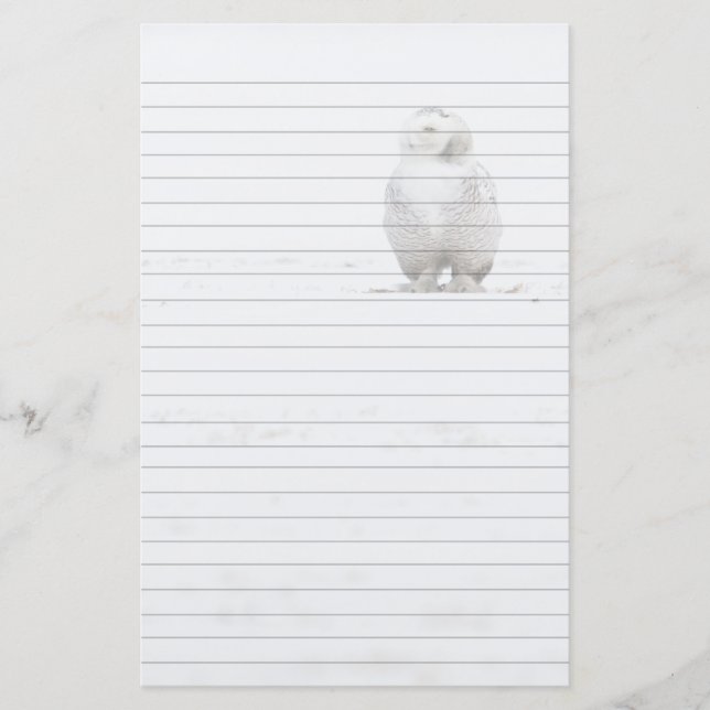 Tiervogelsnowy-Eule, die mich betrachtet Briefpapier (Vorderseite)