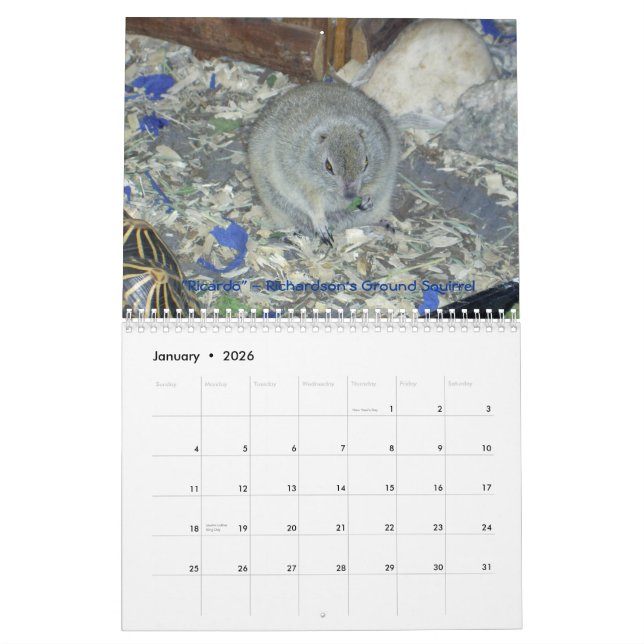 Tierwandkalender botschafter-2011 kalender (Jan 2026)