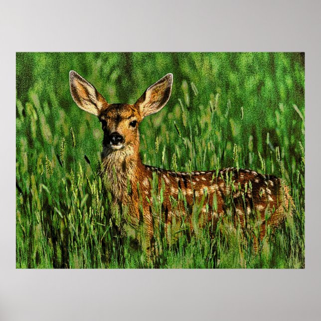 Tierwelt 11 gesprungen poster (Vorne)