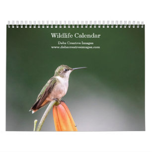 Tierwelt 2025 kalender