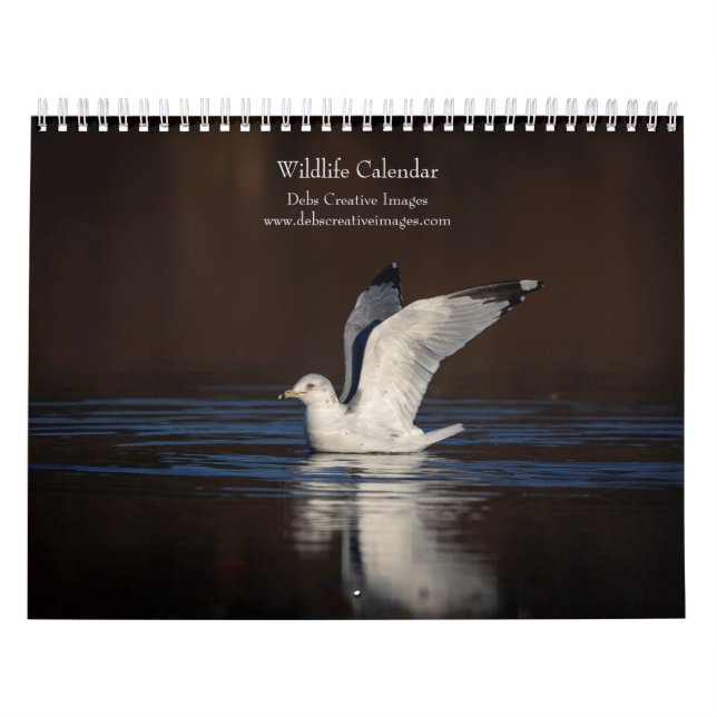 Tierwelt 2026 kalender (Titelbild)