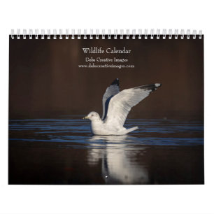 Tierwelt 2026 kalender