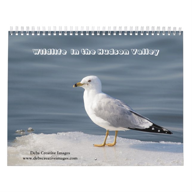 Tierwelt im Hudson Valley 2026 Kalender (Titelbild)