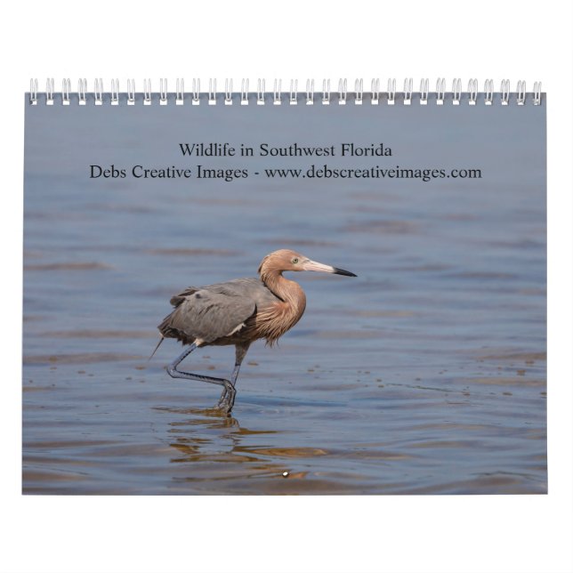 Tierwelt im Südwesten Floridas 2026 Kalender (Titelbild)