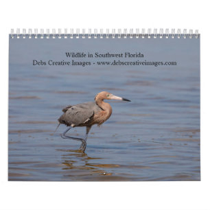 Tierwelt im Südwesten Floridas 2026 Kalender