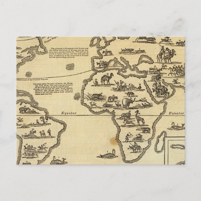 Tierwelt Postkarte (Vorderseite)