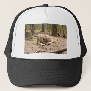 Tierwolf-FriedensLiebe-wilde Land-Natur Truckerkappe