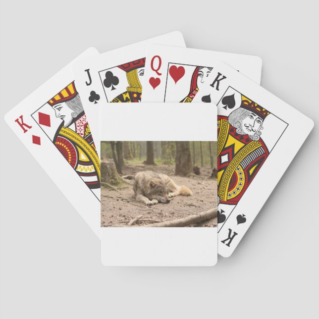 Tierwolf - Liebe Wildland Spielkarten (Rückseite)