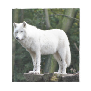Tierwolf-Natur-FriedensLiebe-Schicksal Notizblock