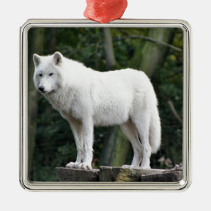 Tierwolf-Natur-FriedensLiebe-Schicksal Silbernes Ornament