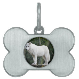 Tierwolf-Natur-FriedensLiebe-Schicksal Tiermarke