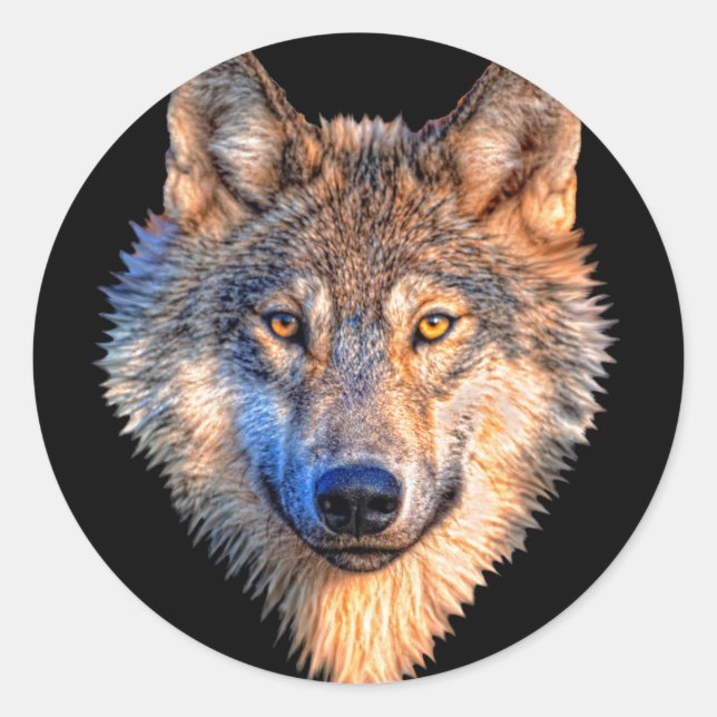 Tierwolf. Scary Grey Wolf head Runder Aufkleber (Vorderseite)