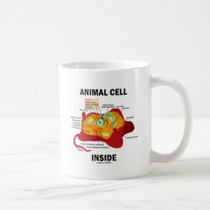 Tierzellen-Innere (Eukaryote-Zellbiologie) Kaffeetasse
