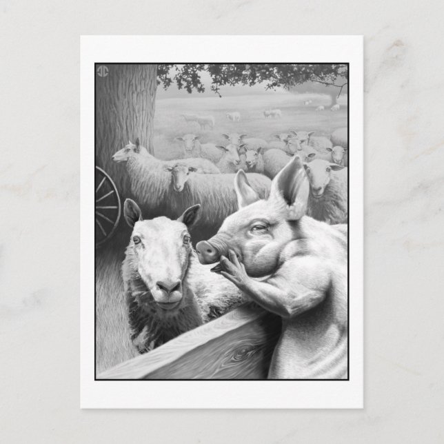 Tierzucht - Squealer Postkarte (Vorderseite)