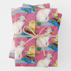 Tiffany - The Siamese Cat - Oaster Wrapping Paper Geschenkpapier Set